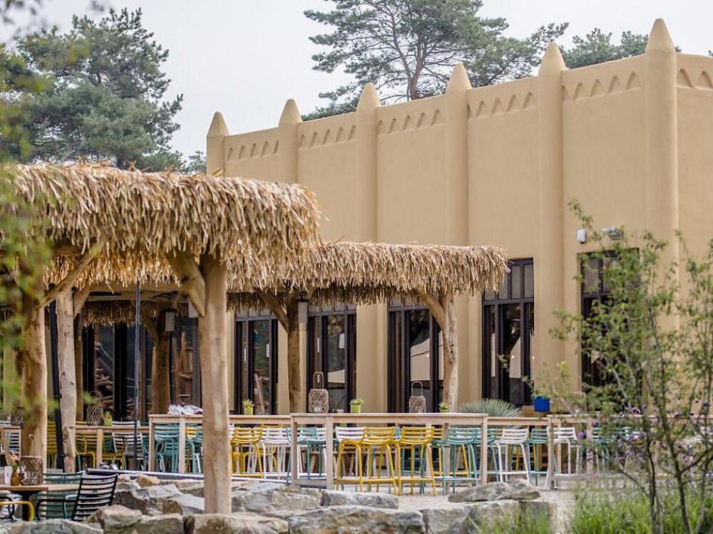 Heuvel Afbouw - Project - Safari Resort Beekse Bergen